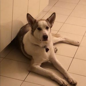 Meet your Posher, Calenne